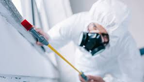 Professional Pest Control in Firestone, CO